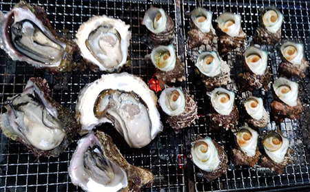 天然 岩ガキ 活さざえ セット 詰め合わせ 若狭湾産 カキ 牡蠣 活 さざえ サザエ 貝 貝類 魚介 魚介類 海鮮 海鮮セット 新鮮 福井 福井県 若狭町