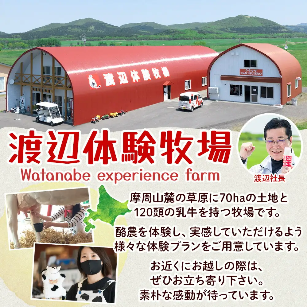 783.牛のおっぱいミルク 3本 コーヒーミルク3本 のむヨーグルト3本 計9本 おっぱいミルクキャンディー1個 セット 牛乳 生乳 ミルク 牛 酪農 飲料 しぼりたて 珈琲 ヨーグルト 飴 お取り寄せ ギフト gift 渡辺体験牧場 まとめ買い 北海道 弟子屈町