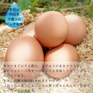 赤岩高原たまご 80～90個入 破損保証10個を含む 卵 赤たまご