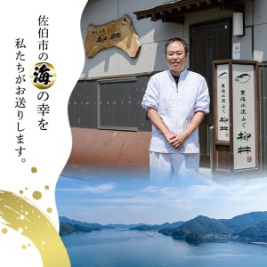 ＜定期便・全6回 (連続)＞ 豊後 とらふぐ 刺身 セット (総量約1.8kg：4-5人前×6回) とらふぐ ふぐ フグ ふぐ刺し フグ刺し ふぐ刺身 フグ刺身 刺身 鮮魚 冷凍 養殖 国産 大分県 佐伯市【AB200】【柳井商店】
