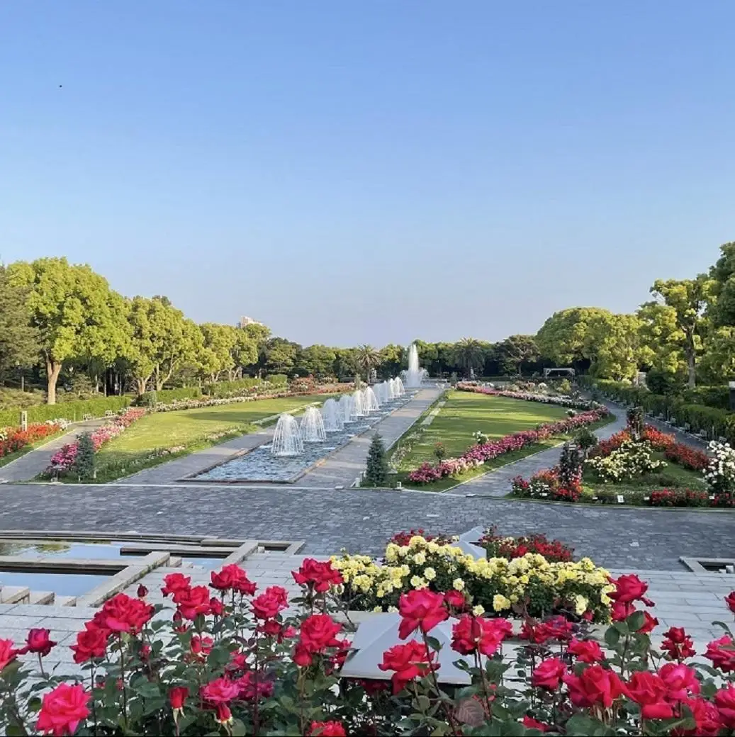 「RikyuHoney」皇室ゆかりの歴史の味　須磨離宮公園産はちみつ