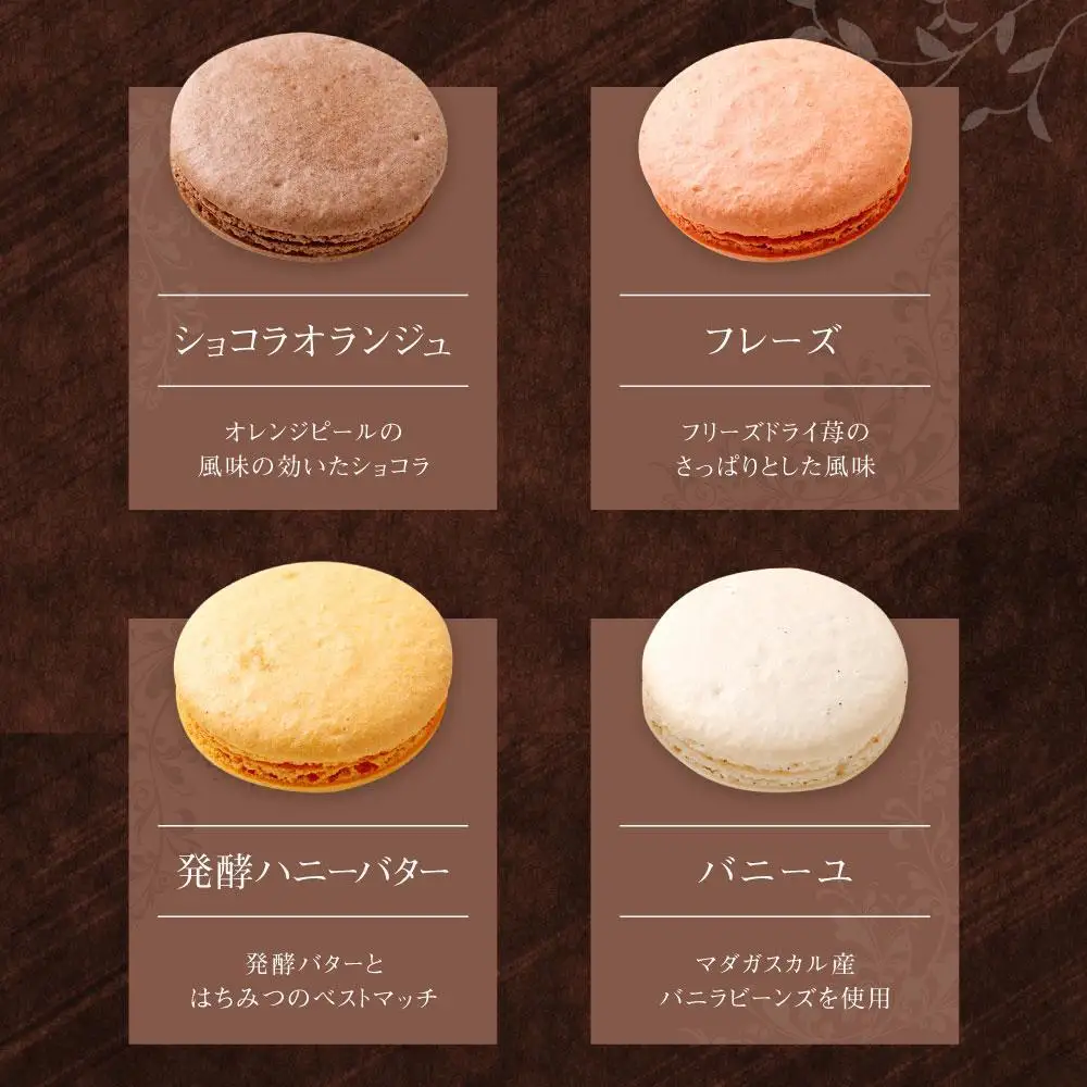 【レオニダス＆ガトーエモア】冷凍しない本場のレシピ　マカロンセット10個入り