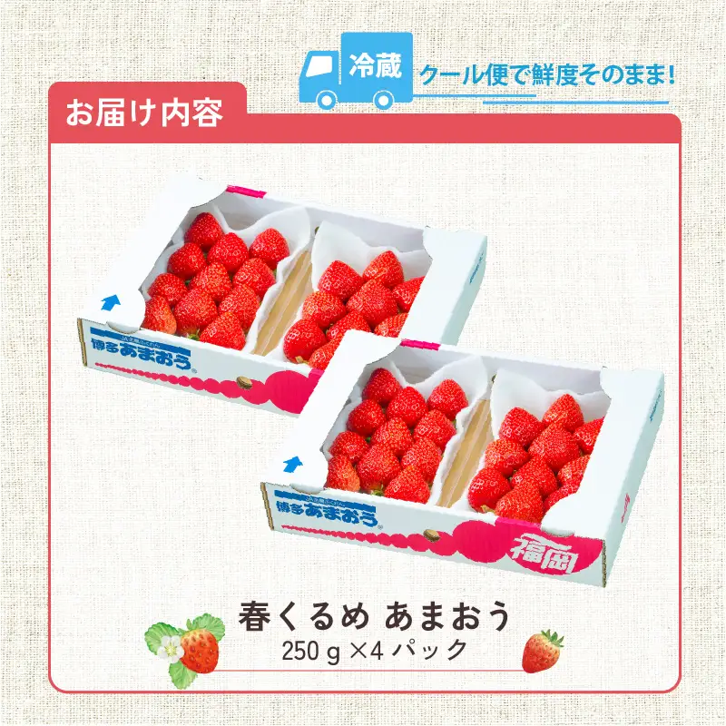 【2027年2月以降お届け】福岡産［春］あまおう4パック_春くるめ あまおう 250g × 4パック 合計 1kg シール付き 冷蔵 濃厚 甘い 果汁 アフター保証 安心安全 国産 いちご 果物 アレンジ おやつ フルーツ スイーツ スムージー ジャム 南国フルーツ お取り寄せ 福岡県 久留米市 送料無料 〔Fi012〕