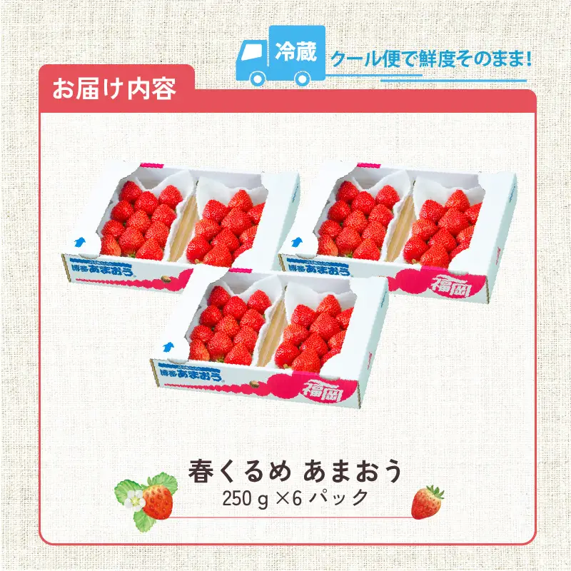 【2027年2月以降お届け】福岡産［春］あまおう6パック_春くるめ あまおう 250g × 6パック 合計 1.5kg 冷蔵 濃厚 甘い 果汁 アフター保証 安心安全 酸味 甘味 国産 いちご 果物 アレンジ おやつ フルーツ スイーツ スムージー ジャム 南国フルーツ お取り寄せ 福岡県 久留米市 送料無料 〔Fi013〕