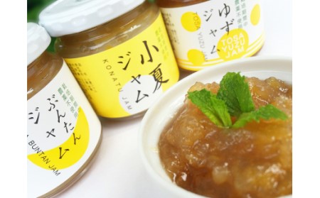 かんきつジャム24個セット