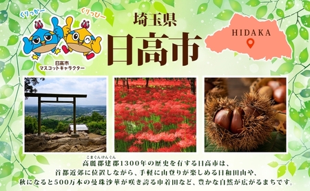 青山工房 ボディブラシ 柄付き 1本 馬毛 ブラシ 洗体 黒 白 笑 かため やわらかめ ふつう 入浴 バスグッズ お風呂 清潔 マッサージ あかすり アカスリ さっぱり 高齢者 洗いやすい お取り寄せ プレゼント 贈答品 送料無料 埼玉県 日高市 ボディブラシ【黒：かため】