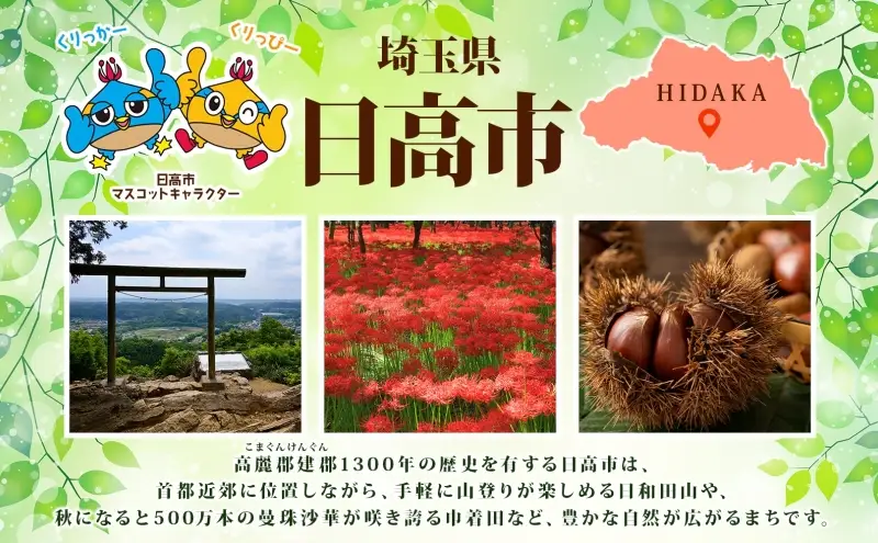 さやま紅茶・琥珀の茗セット べにひかり 甘味のリーフ ティーバッグ 狭山茶 さやま紅茶 紅茶 日本茶 飲み比べ 詰め合わせ 茶葉 ティータイム 贈り物 ギフト 贈答 香り 旨み ティーバッグ 和紅茶 団らん お取り寄せ 吉野園 埼玉県 日高市