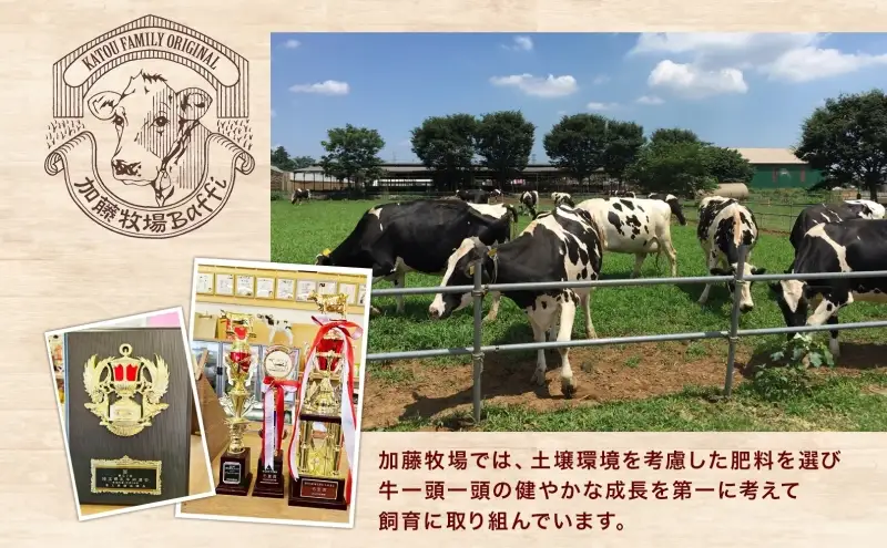 【加藤牧場】ノンホモ低温殺菌牛乳使用 ジェラート 9個入り アイス 氷 夏 暑い 猛暑 フレーバー 濃厚 さっぱり 人気 ご当地 スイーツ お菓子 食後 デザート 氷菓 牛乳 さっぱり コク お取り寄せ 加藤牧場 埼玉県 日高市