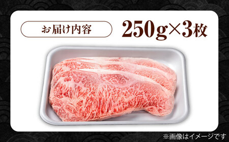 佐賀牛 サーロインステーキ 750g / サーロインステーキ [IAG052]