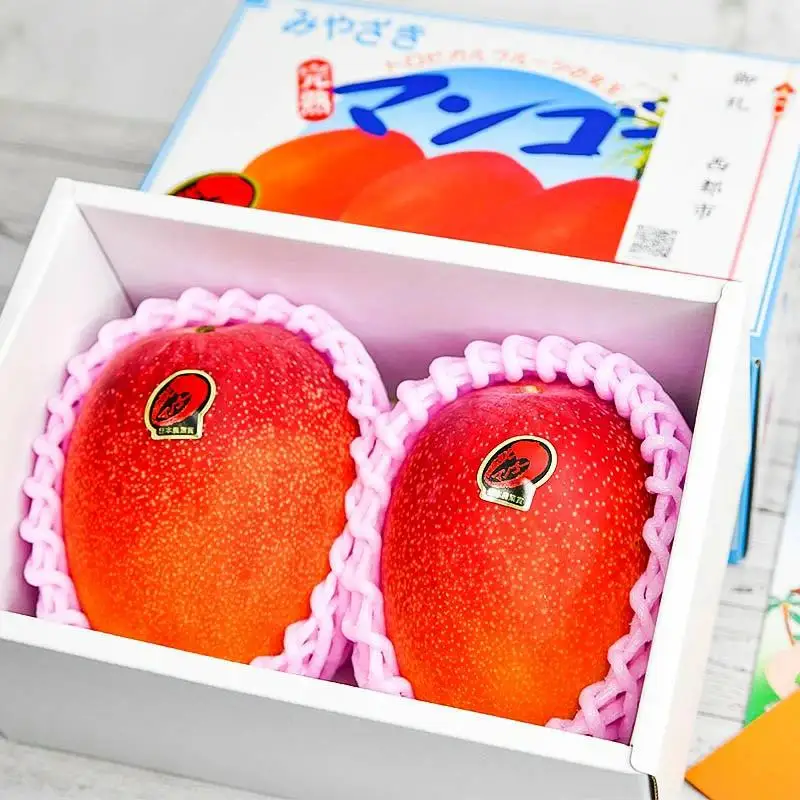 【先行予約】糖度12度以上 大玉 西都産完熟マンゴー  4L×2（計1kg程度） JA西都　2026年発送＜2-1a＞