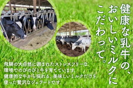 飛騨のジェラート＆ソルベ 8個詰合せ 野菜 カカポ ジェラート