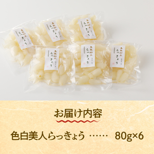 食べきりサイズ 色白美人らっきょう 国産無添加 80g×6袋　ラッキョウ 食べきりサイズ 480g おつまみ ご飯のおとも お酒のお供 野菜 旬 漬物 つけもの お漬物 常温保存 山梨県 北杜市 [h138]