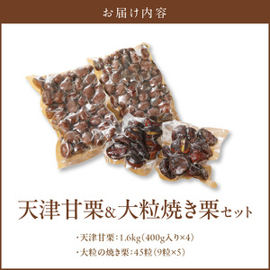 【冷凍】天津甘栗1.6kg＆大粒の焼き栗（45粒）セット 焼きたて 栗 くり 栗爪 殻付き お菓子 おつまみ 人気 高リピート 小分け 美容 健康 栄養豊富 H045-085