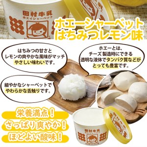 SA0895　庄内平野のおいしいアイスクリームセット　計12個(2種/各6個)【田村牛乳】