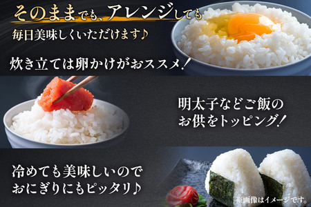 【白米】《定期便》 5kg×6回 令和7年産 ひとめぼれ 土作り実証米 合計30kg 秋田県産