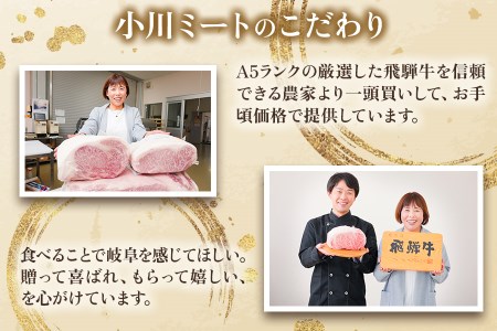 高級和牛をステーキで！[A5等級]飛騨牛サーロインステーキ用 600g(300g×2枚) [0163]