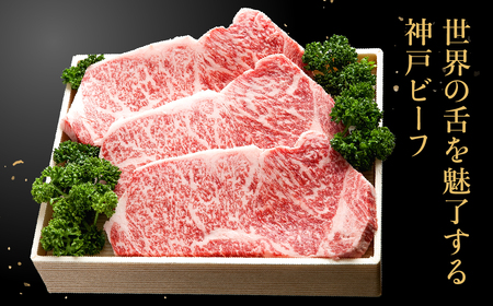 神戸牛 ロースステーキ 500g(250g×2枚) / 牛肉 ステーキ ロース 霜降り ステーキ肉 但馬牛 黒毛和牛 和牛 国産牛 赤身 ステーキ 牛 肉 焼肉 太田牧場 太田牛 神戸ビーフ TYST5【但馬牛太田家】