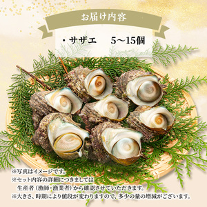 活サザエ 5～15個 活きたままお届け 活 サザエ さざえ 貝 魚介 魚介類 海鮮 刺身 つぼ焼き 厳選 冷蔵 冷蔵配送 静岡 静岡県 河津 河津町
