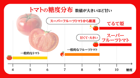 糖度9度以上 スーパーフルーツトマト 中箱 約1.2kg × 1箱 (12～18玉/1箱)  [BC002sa]