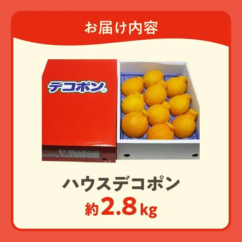 高松産季節の果物＜ハウスデコポン＞約2.8kg【2026年12月中旬～2027年3月中旬配送】