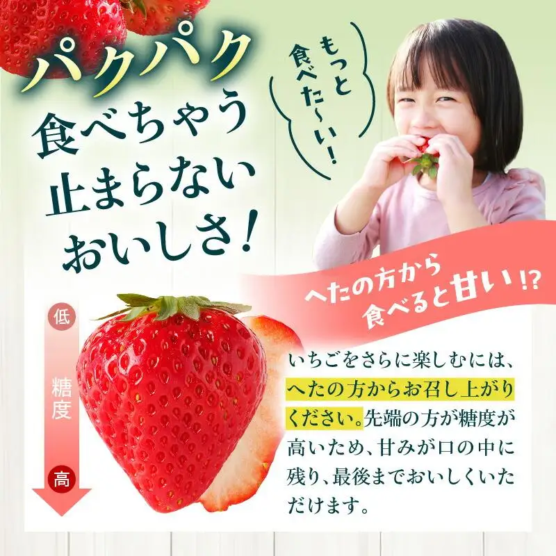 さぬきひめいちご化粧箱　2箱(各約400g)【2027年1月上旬～2027年4月下旬配送】