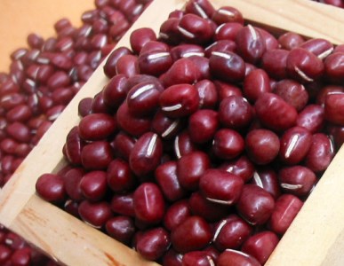 「京野菜たけのこスイーツ」 竹の子最中 12個入 [1646]