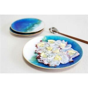 沖縄ラグーン柄 6寸皿＋取皿2枚セット