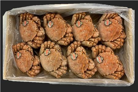 【北海道根室産】ボイル毛がに8～10尾(計4kg) E-01003