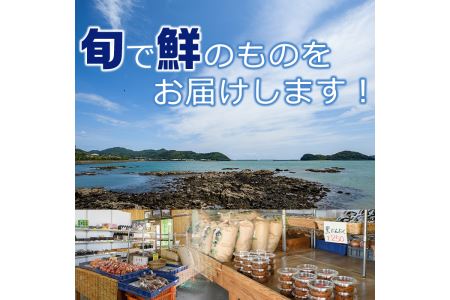 懐かしい味の油みそ3種類セット(合計約2kg・油みそ×5、ピリ辛×5、ちりめん×6)味噌 おつまみ ご飯のお供 調味料 食べ比べ 国産【G-1】【旬鮮かどがわ直売センター】