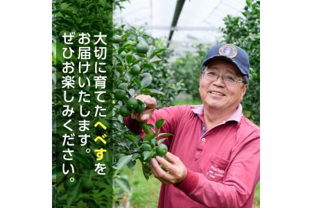 ＜先行予約受付中！2026年6～7月の間に発送予定＞期間限定！門川町産へべす(1kg)柑橘 果汁 国産 特産品 宮崎県 門川町【AM-1】【川崎農園】