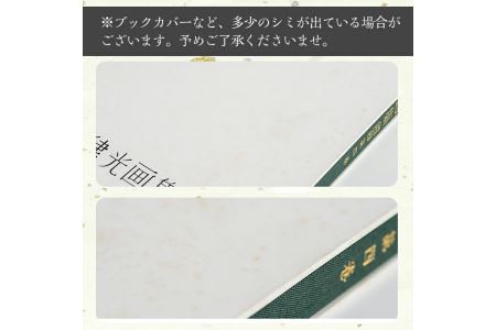 丹宗律光画集(全12巻)美術品 丹宗律光 画集 絵画 図鑑 古書 書籍【生涯学習課】akn012-02