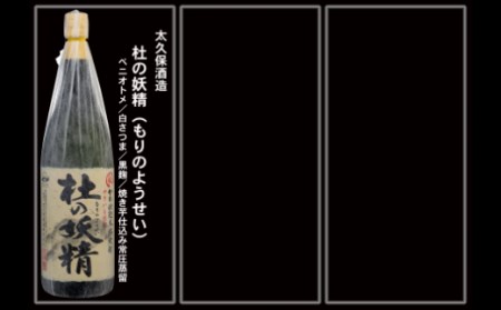 No.10004-1 大隅蔵めぐり　飲み比べ一升瓶10本セット