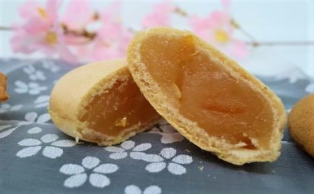 No.1022-1 錦江町銘菓詰め合わせ