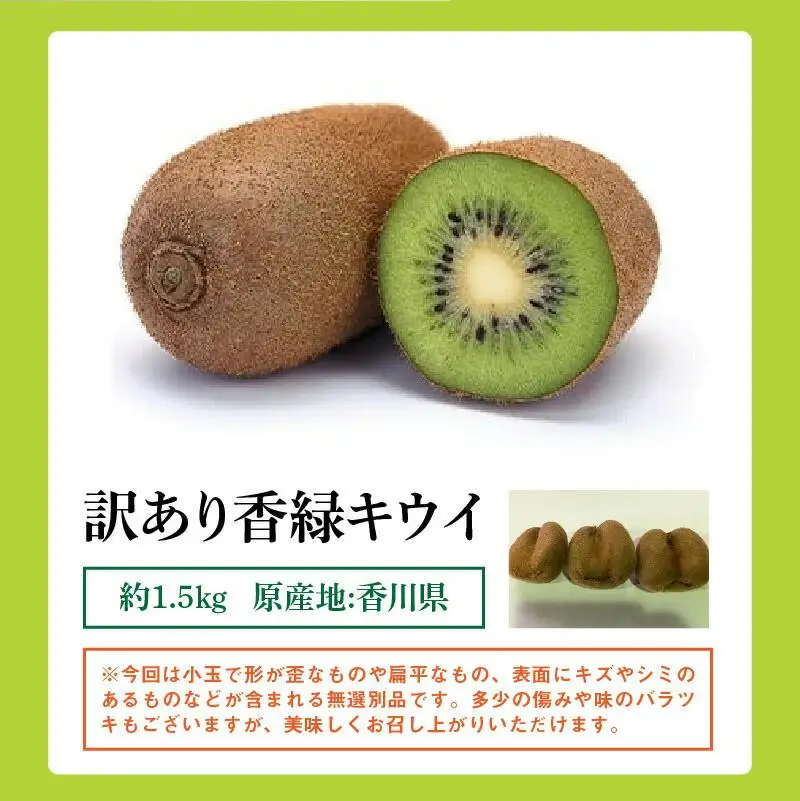 訳あり 無選別品 香川県オリジナル品種　香緑キウイ　約1.5kg【2026年12月上旬～2027年3月下旬配送】