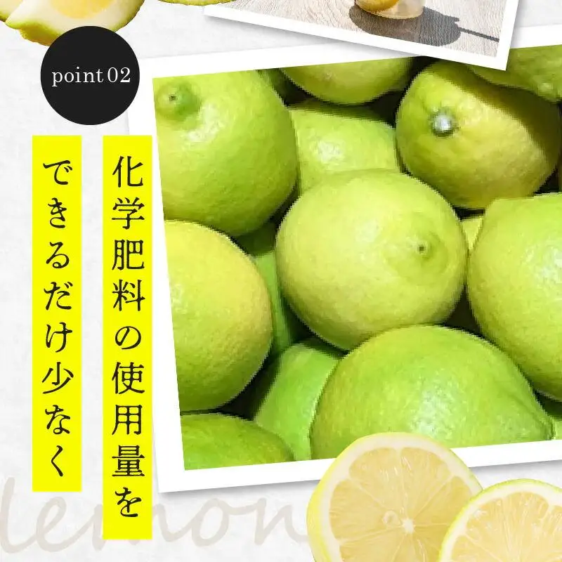 訳あり 加工用 レモン (サイズ混合) 3kg【2026年11月下旬～2027年4月上旬配送】