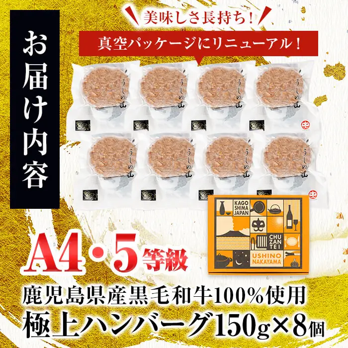 鹿児島県産 黒毛和牛 100%使用 極上 ハンバーグ(計1.2kg) a6-027
