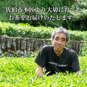 紅茶 ティーバッグ 3種セット (オリーブ紅茶、和紅茶、発酵いちょう葉紅茶・各12個) お茶 紅茶 茶 茶葉 セット 詰め合わせ 大分県 佐伯市【ES04】【小野農園】