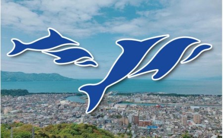 エアコン 専用 熱中症予防 ステッカー 絶対温管 エアコン