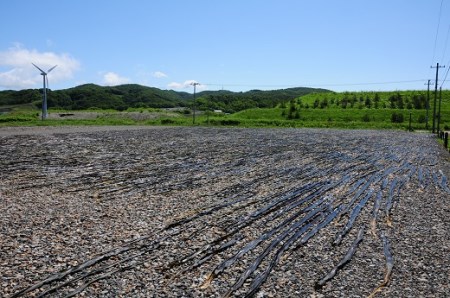 浦河町自慢の日高昆布！定期便(全6回)[51-1012]