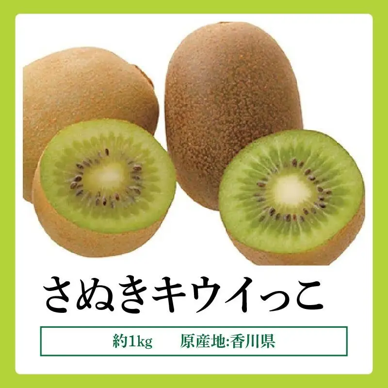 さぬきキウイっこ　約1kg【2026年10月下旬～2026年12月下旬配送】