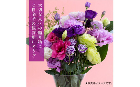 《先行予約》芸西村特産 トルコギキョウ花束（約15本程度の花束）
