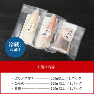 【訳あり】日向灘活〆ﾛｲﾝお刺身3種の食べ比べ計470g以上 N124-YZB059