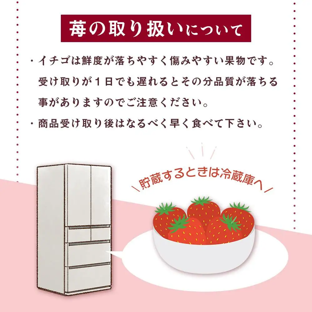 【先行予約】いちご まりひめ 4パック入り いちご