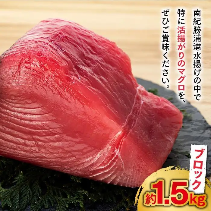 生まぐろ 約1.5kg まぐろ