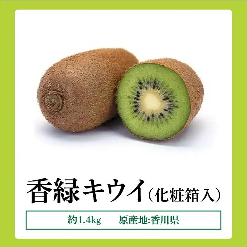 香緑キウイ化粧箱　約1.4kg【2027年1月上旬～2027年3月下旬配送】