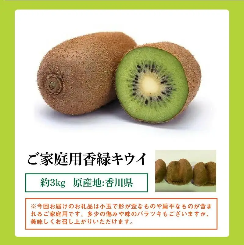 訳あり ご家庭用 香緑キウイ(小玉) 約3kg【2026-11月下旬～2027-3月下旬配送】