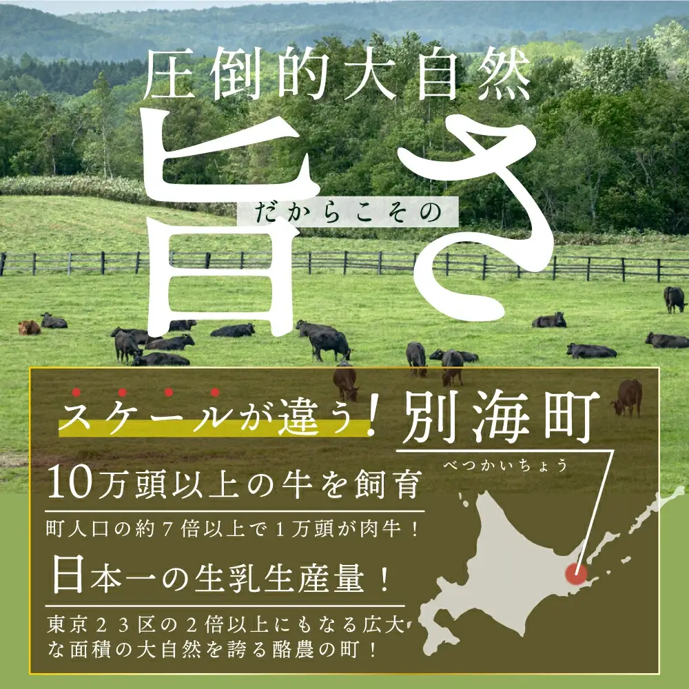 黒毛和牛 サイコロ ステーキ 500g 小分け 北海道 別海町 ステーキ