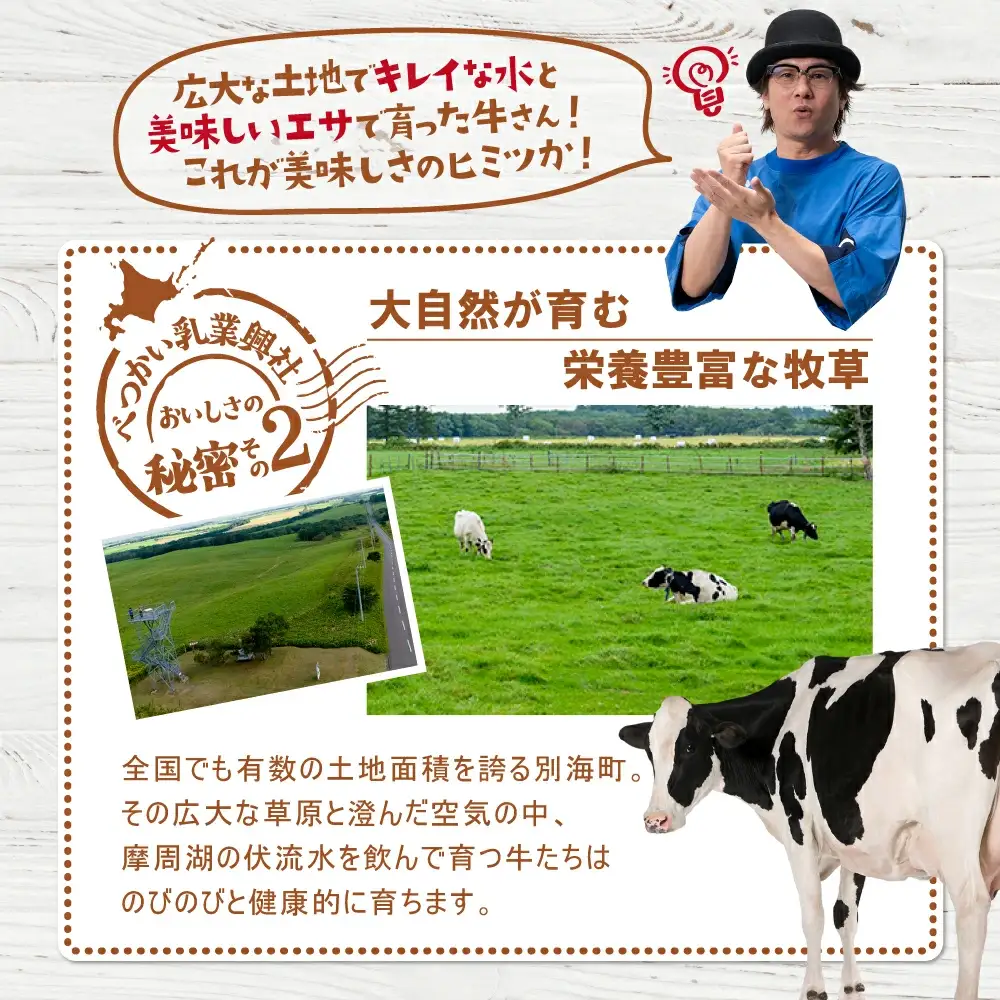 アイス！高評価★5.00  プレミアムミルクリッチ・メロン 計12個 各6個 北海道 別海町