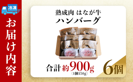 ＜熟成肉 はなが牛ハンバーグ 6個（1個150g）＞ 肉 お肉 牛肉 牛 ビーフ 牛100％ 肉加工品 お惣菜 洋食 おかず 弁当 ランチ ディナー 国産 小分け 個包装 簡単調理 特産品 ゆうぼく 愛媛県 西予市【冷凍】『2か月以内に順次出荷予定』UYB0003