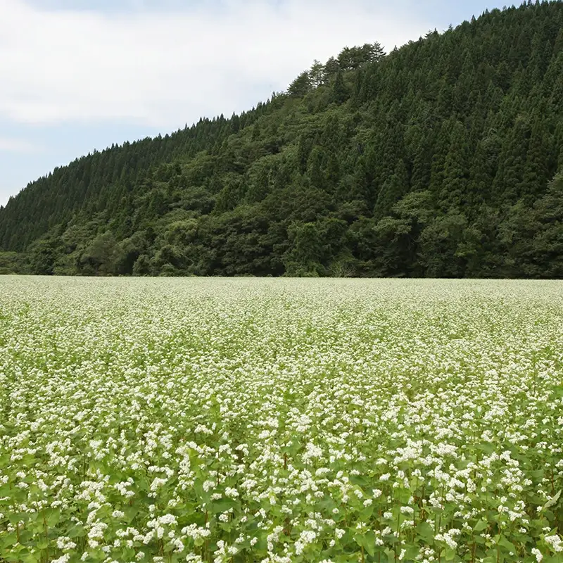 手造りきりたんぽと中山そば年越セット（２～３人前）　105P1511
